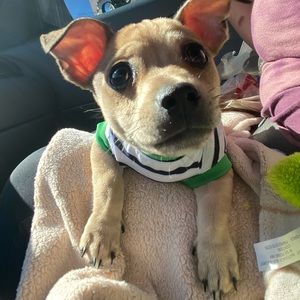 Meet your Posher, Kiara